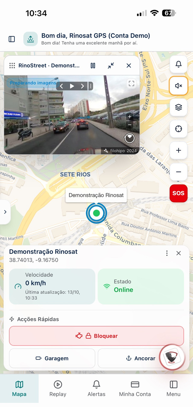Painel Rinosat GPS no telemóvel — mapa ao vivo e ações rápidas